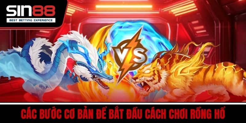 Cách Chơi Rồng Hổ Dễ Hiểu Tăng Tỷ Lệ Thắng Nhanh Chóng 3 Các bước cơ bản để bắt đầu cách chơi Rồng Hổ