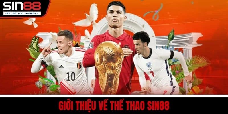 Thể Thao SIN88 Trực Tuyến Cược Nhanh Tỷ Lệ Kèo Cao Hấp Dẫn 1 Giới thiệu về thể thao SIN88