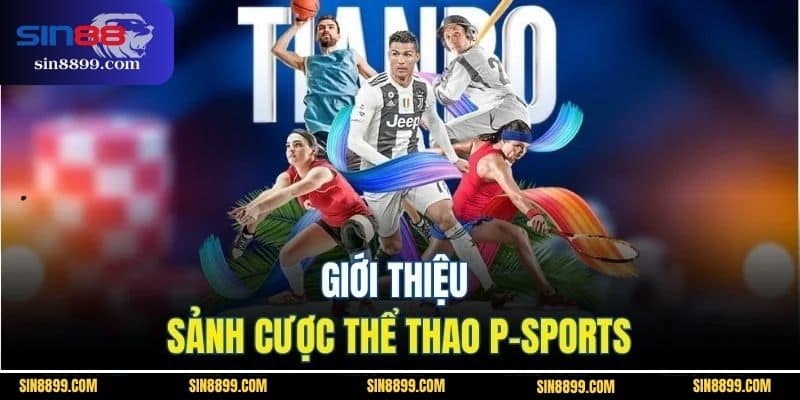 K-Sports Và P-Sports | 2 Sảnh Thể Thao Uy Tín Tại SIN88 3 Giới thiệu sảnh cược thể thao P-sports
